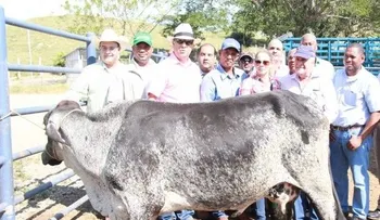 Conaleche llama a mejorar sector  lácteo
