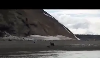 Pescadores filman los últimos minutos de vida de su amigo, perseguido por un oso