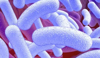 Científicos surcoreanos logran producir gasolina con bacterias intestinales 