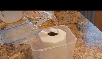 Remoja papel higiénico con vinagre y será la solución de casi todos tus problemas en la casa 