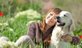 La compañía de un perro no necesita de palabras