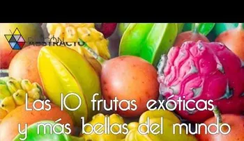 Entérate: 10 frutas exóticas y más bellas del mundo