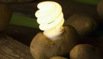 Aprende a iluminar una habitación por 40 días con 1 sola papa