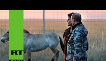 Putin visita reserva ecológica en los Urales y libera a 6 caballos salvajes (VIDEO)