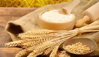 El trigo es un veneno en la Dieta, que produce enfermedades