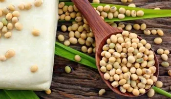 5 alimentos modificados que consumes todos los días