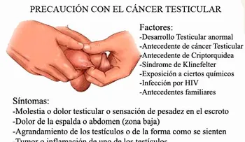 ¿Los hombres con cáncer de testículo pueden engendrar hijos?
