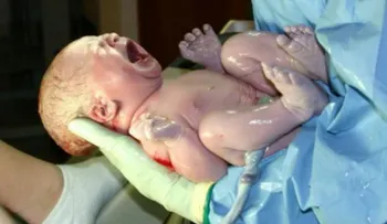 ¿Mito o realidad? Los beneficios de comer la placenta después del parto