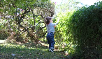 Los niños más expuestos a la naturaleza tienen mejor salud mental de adultos