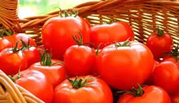 El tomate mejora la circulación, la visión, evita el estreñimiento y cuida la piel
