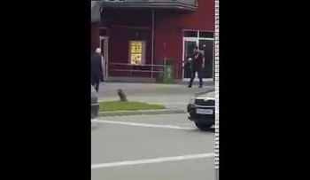 VÍDEO IMPACTANTE: Así comenzó el tiroteo el Múnich