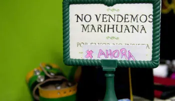 La marihuana quizás nunca llegue a las farmacias 