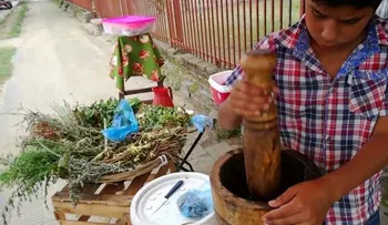 Hierbas medicinales, el remedio paraguayo contra los excesos de las fiestas