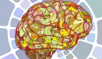 Descubren que las células limpiadoras del cerebro pueden volverse caníbales