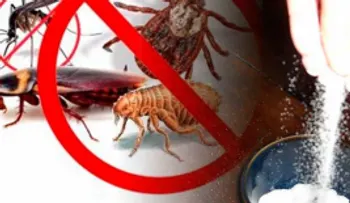 Efectivo ácido bórico para eliminar las pulgas, cucarachas, ratones y cualquier otro insecto 