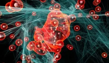Descubren anticuerpo lograrí­a que el sistema inmune mate al cáncer; es un gran logro cientí­fico 
