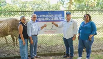 DIGEGA certifica fincas libres de brucelosis y tuberculosis bovina