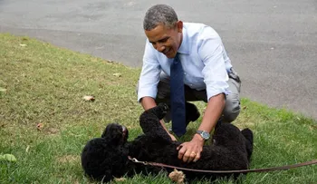 Hombre intentó secuestrar perro de Obama