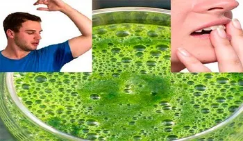 Tomar este jugo eliminará el mal olor bucal del sudor