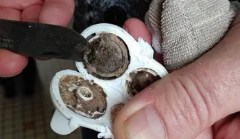 La mamá no entendía porque su hijo se enfermaba tanto...¡Hasta que descubrió ESTO!