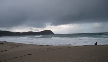 Se forma Dalila, la cuarta tormenta tropical de la temporada
