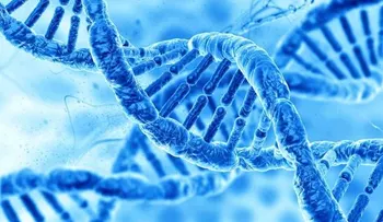  Científicos descubren por casualidad el gen de memoria que actúa como virus 
