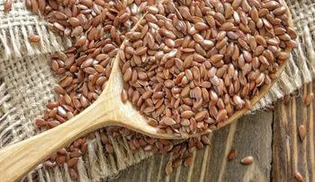 Beneficios de incluir la linaza en tu dieta diaria