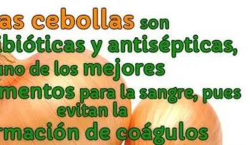 La cebolla y sus grandes propiedades para la SALUD: combate la caspa y caída del cabello, baja el colesterol