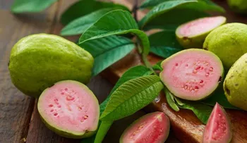 La guayaba: Una super fruta anticancerígena y antioxidante, que fortalece el sistema inmunológico; rica en vitaminas A, B y C