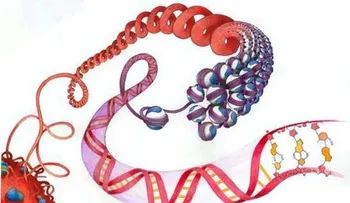 Descubren que determina la evolución del cáncer  