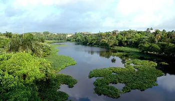 IPPP-CDP invitan periodistas, camarógrafos, fotógrafos y comunicadores a la Excursión Ecoturística 