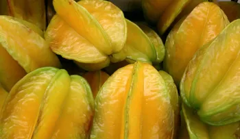 Una fruta exótica muy efectiva para la diabetes, el insomnio, dolor de cabeza y las náuseas: LA CARAMBOLA
