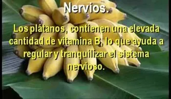 Anota las propiedades de esta fruta milagrosa (VIDEO)