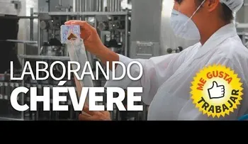 Laborando chévere