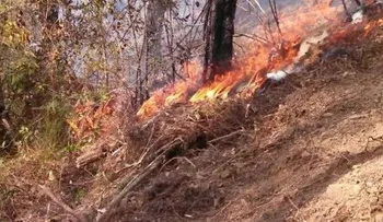 100 militares y brigadistas atrapados en incendio forestal en Dajabón