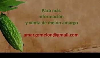 Con esta sola planta puedes eliminar la DIABETESâ?¦! (VIDEO)
