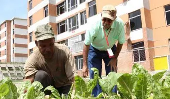 Instalarán Unidades de Planificación y Desarrollo en instituciones públicas