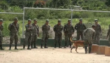 Director del Batallón Canino de Honduras agradece asesoría de RD