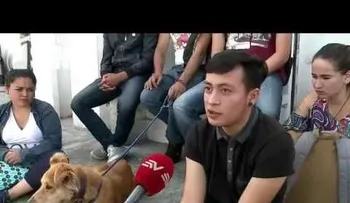 Conozca al perro que se ha ganado el aprecio de toda una facultad