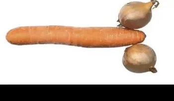 Como tener una ereccion completa