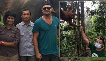 Leonardo DiCaprio dona más de 15 millones de dólares para conservación del medio ambiente