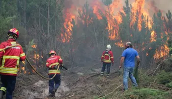 Suben a 37 los muertos y 71 los heridos en incendios de Portugal, ya extintos