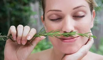 Inhalar esta planta puede aumentar memoria en un 75%