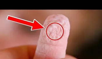 10 respuestas a preguntas que te ha hecho toda la vida