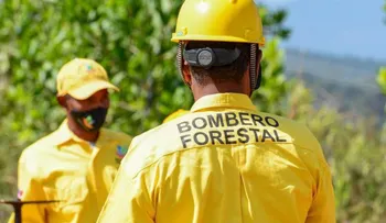 Medio Ambiente mantiene bajo control incendio forestal en Sierra de Bahoruco