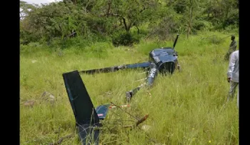Cazadores furtivos matan a un piloto británico que protegía elefantes en Tanzania