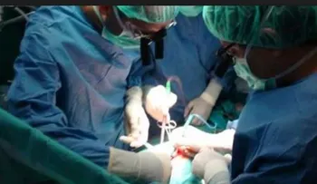 Doctores polacos realizan trasplante de garganta 