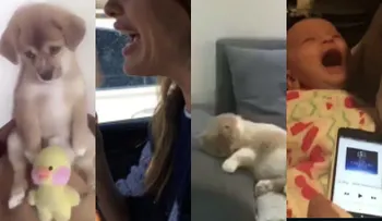Los 5 mejores videos virales de la semana