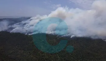 Medio Ambiente dice Rogelio Cruz entorpece labores