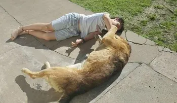 La historia detrás del conmovedor video del reencuentro de Rocco con su perro